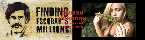 дмт Богородицк