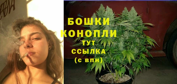 стаф Белоозёрский